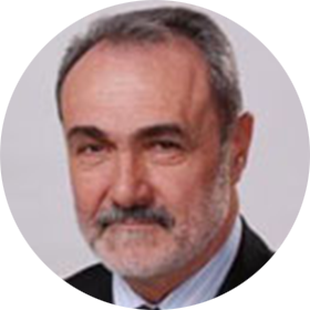 Branislav M. Veselinović